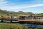 B and C competitors crossing Loch Droma dam to get to their start