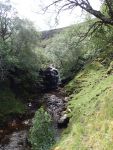 Down in the valley at the waterfall, control 126 (Was Bán)