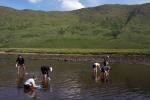 Collecting water at the midcamp