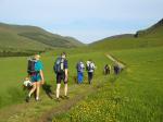 Walk to the B, C, D and Novice start - through meadows of buttercups