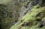 3 elite teams chase for 2nd spot on the way to CP3 on Beinn Dronaig. Day 2