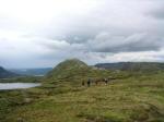 En route to Stack of Glencoul (B course day 1 control 6)
