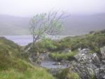 Looking to Gorm Loch Mor, B course, Day 2 on the way to control 4