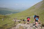 Climbing to the the col between Beinn Dorain and Beinn an Dothaidh